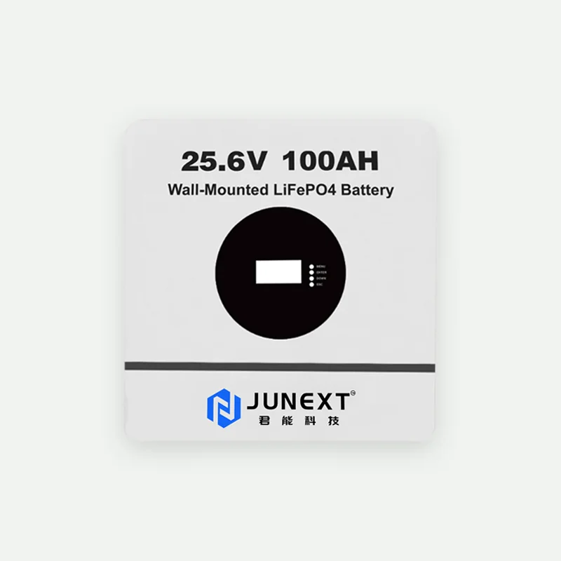JN-ES-LFP24V100-BG